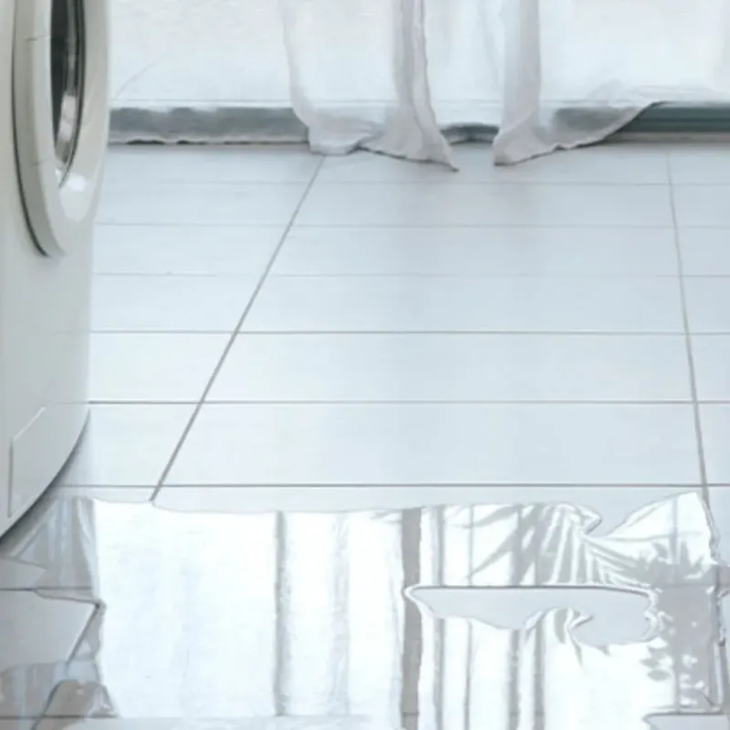Appliance Leak Cleanup in Forestville, OH