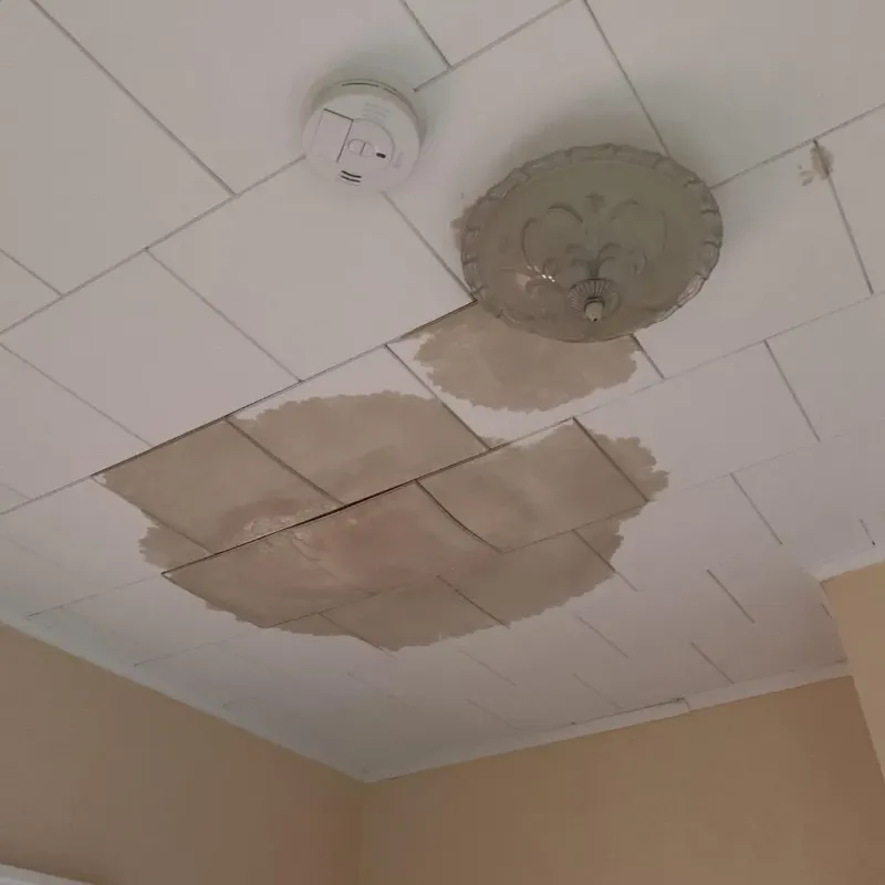 Ceiling Water Damage Repair in Forestville, OH