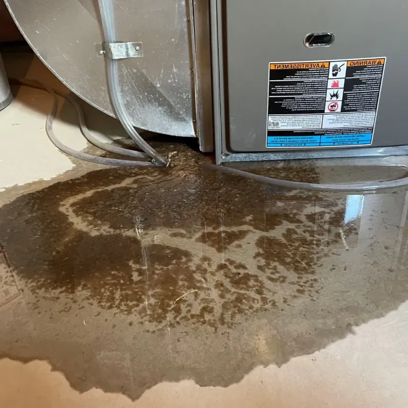 Pipe Burst and Leak Restoration in Forestville, OH