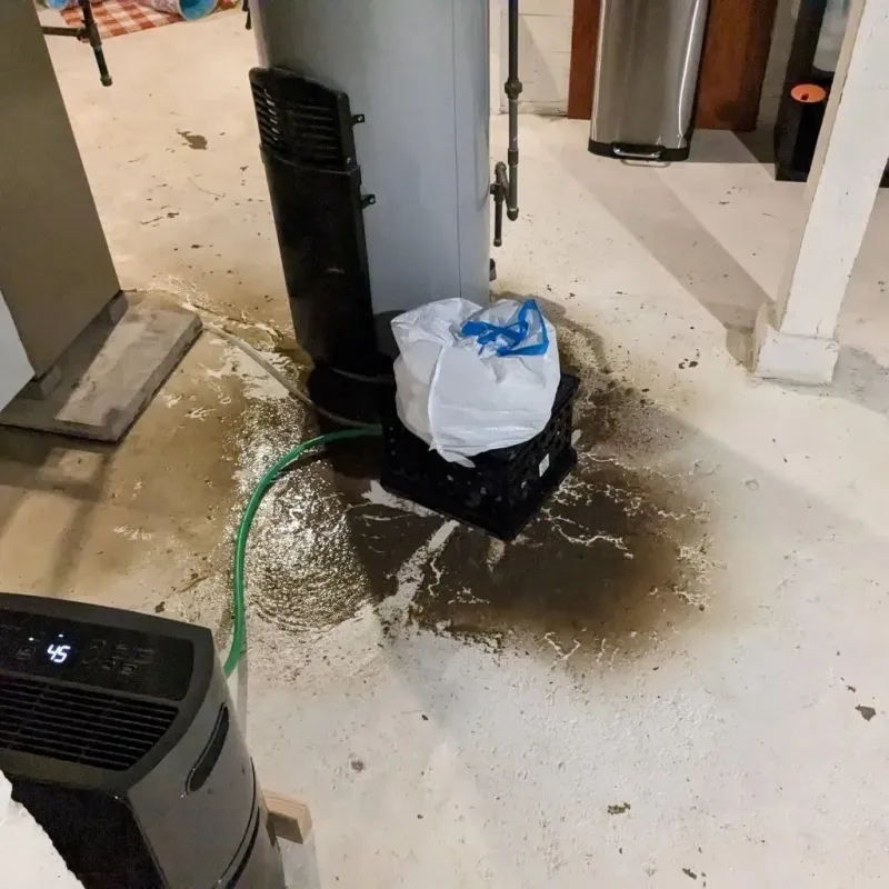 Sewage Backup Cleanup Service in Forestville, OH